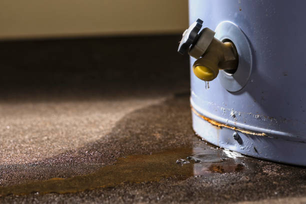 Best 24-hour water damage restoration  in Pocahontas, AR