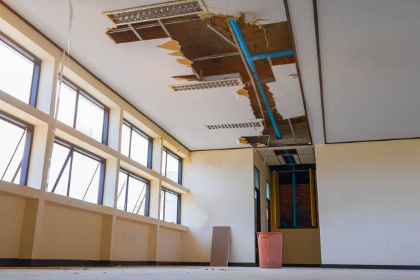 Best Local water damage restoration  in Pocahontas, AR