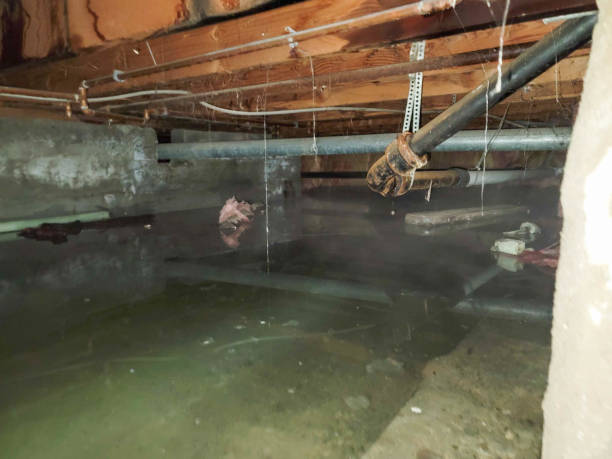 Best Emergency water damage restoration  in Pocahontas, AR