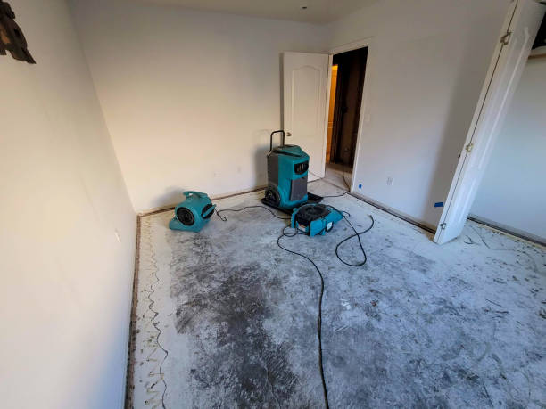 Water damage restoration experts in Pocahontas, AR