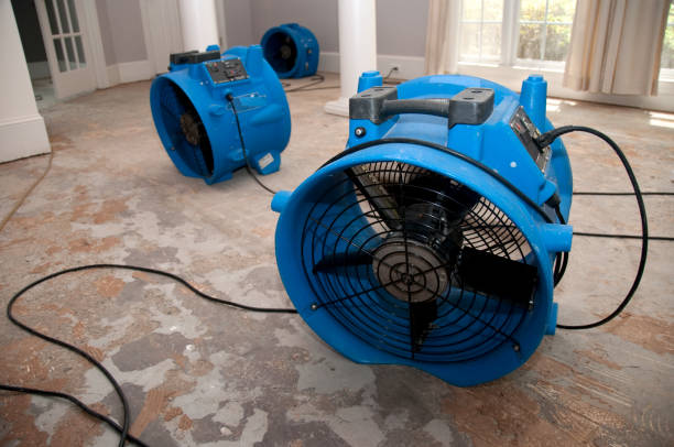 Best Flood restoration services  in Pocahontas, AR