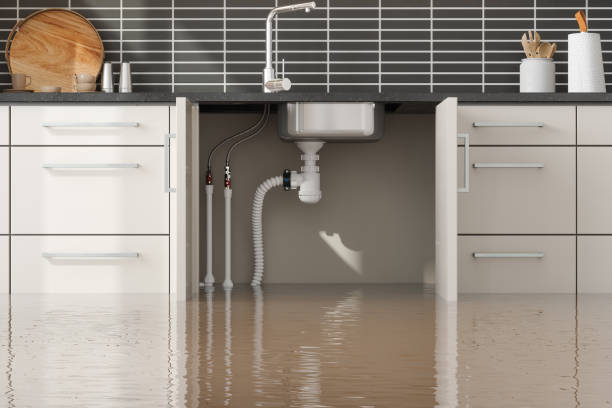 Best Basement water damage restoration  in Pocahontas, AR