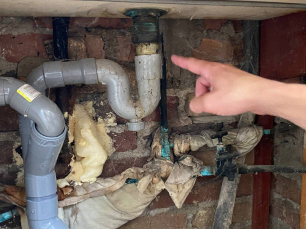 Best Water damage restoration experts  in Pocahontas, AR