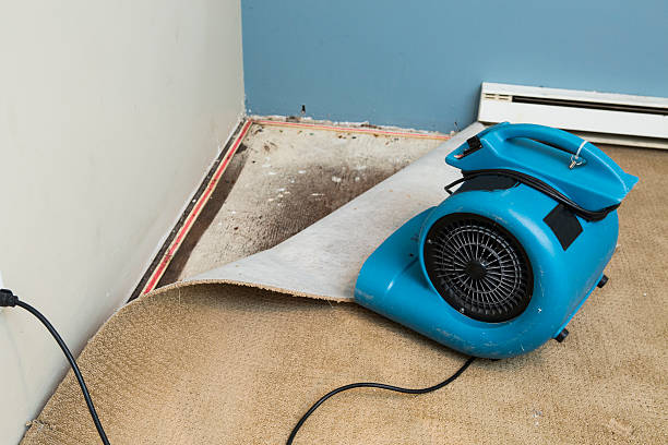 Best Fire Damage Restoration  in Pocahontas, AR